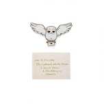 Set doua radiere Harry Potter Hedwige, IdeallStore®, Multicolor