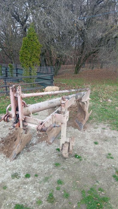 Plug Romanesc  de vanzare