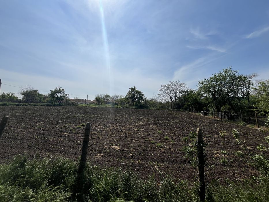 Продава се дворно място в с.Калипетрово