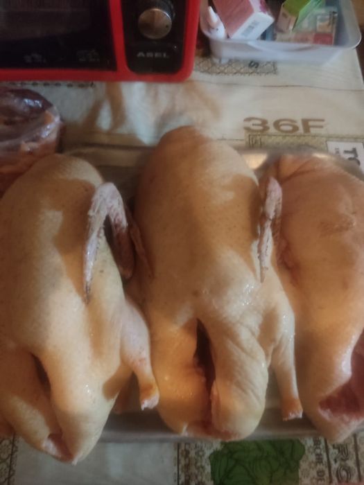 Продам домашних уток