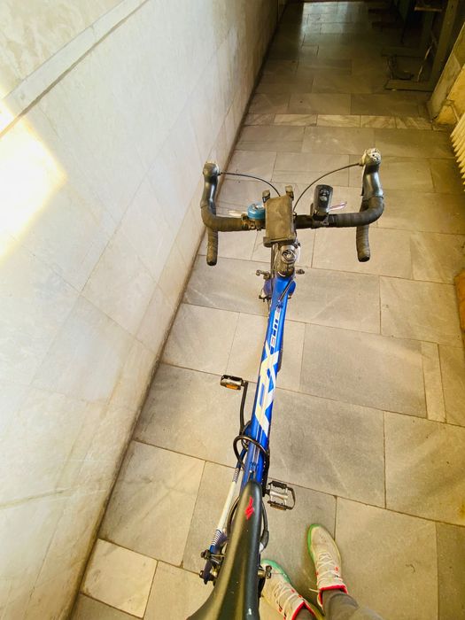Raleigh Rx Elite