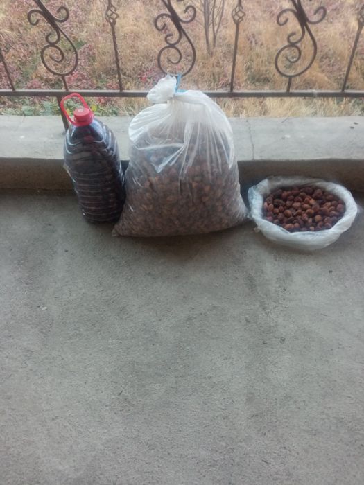 Урик коки сотилади 20 минг дан ками бор