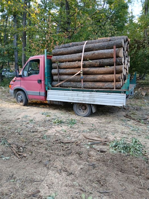 Lemn pentru foc salcam