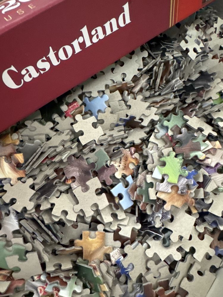 Пъзел Castorland 2000 части Къщата на котките, Марчело Корти