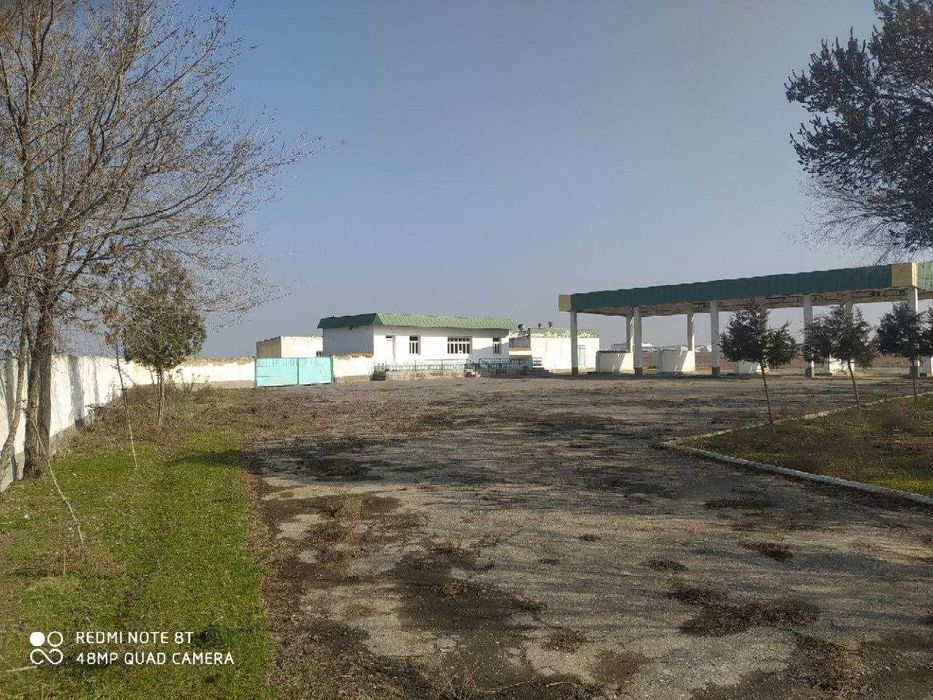 Сирдарё Гулустон 50 сотих, Sirdayo Guluston 50 sotix. Yer