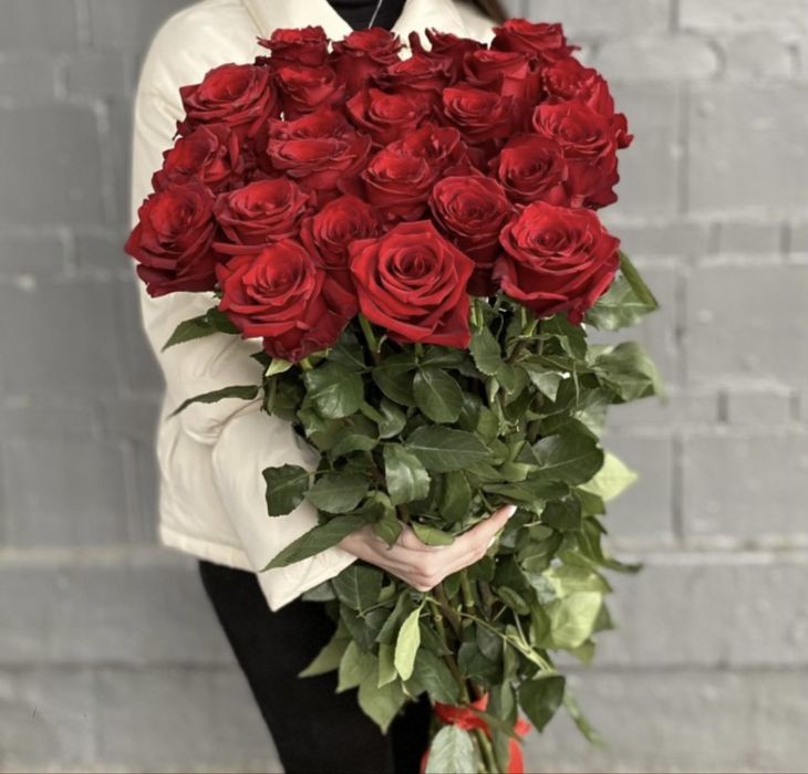 красные розы, свежие