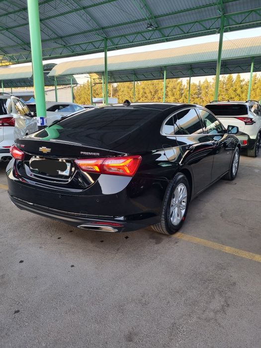 Malibu Primier 2022