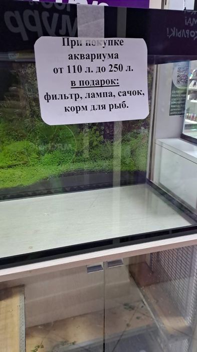 Аквариум большой лаппы фильтр и сачок