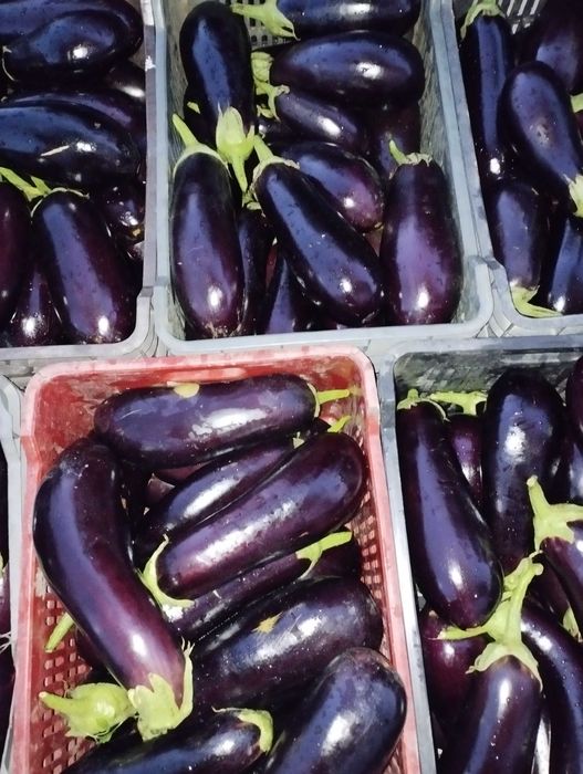 Roșii și vinete de vănzare!