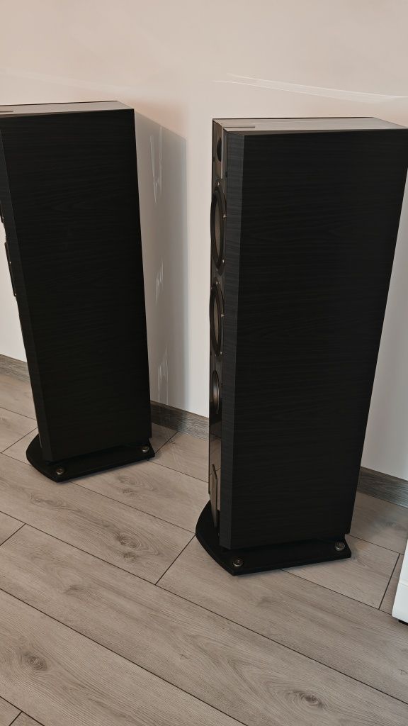 Focal chorus 816 w