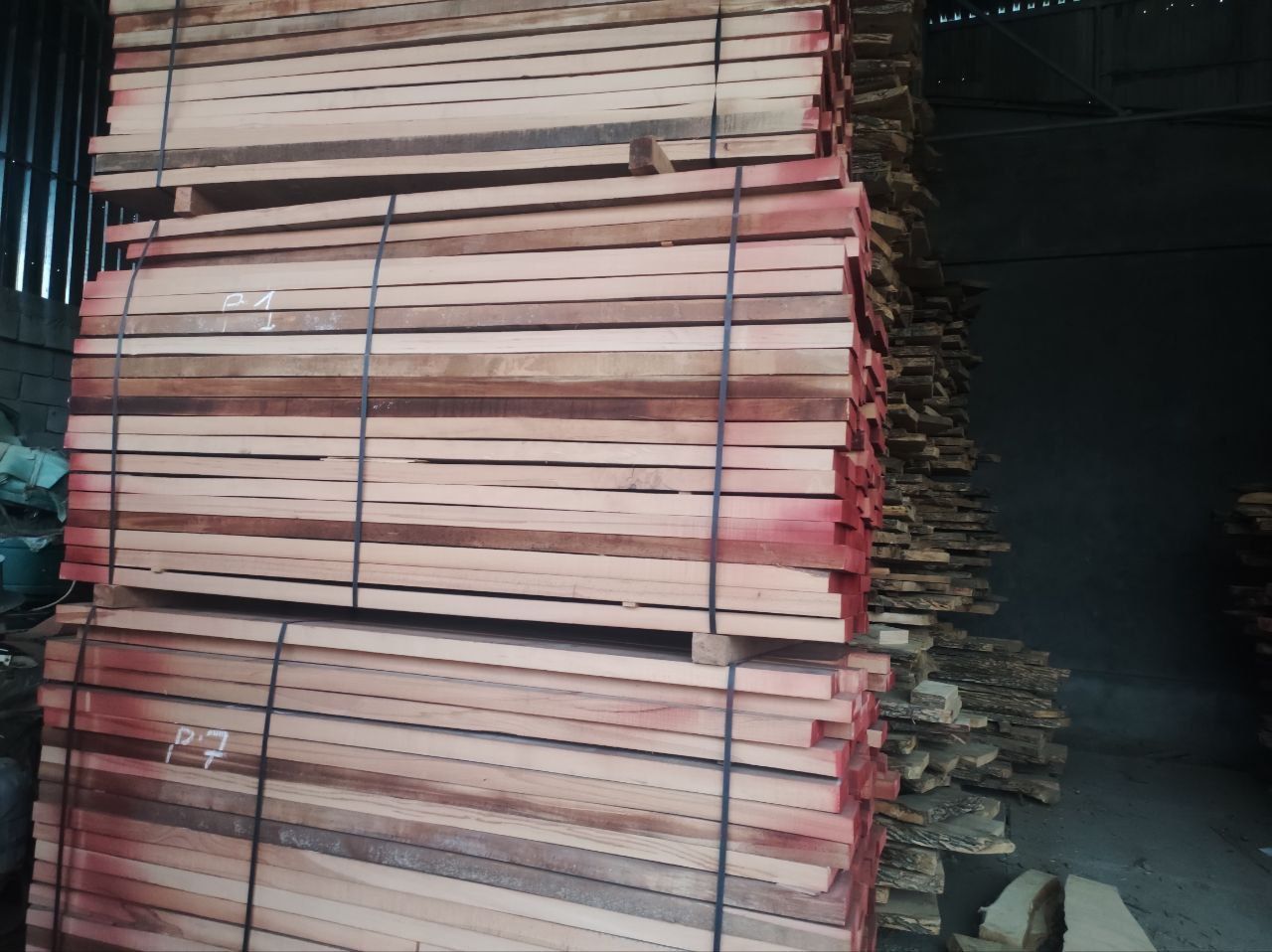 Dub yasn yongo chinor optim 300 dan bowlanad