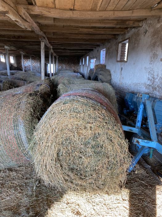 Baloti lucerna Coasa 5 calitate super cantitate 50 transport posibil !