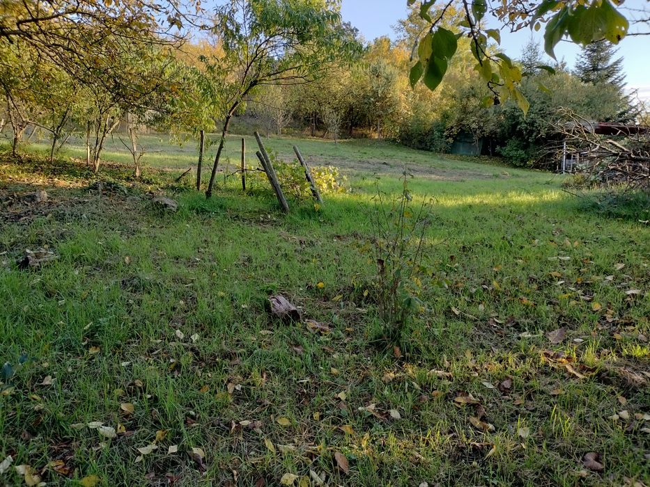 Teren intravilan, gradina!