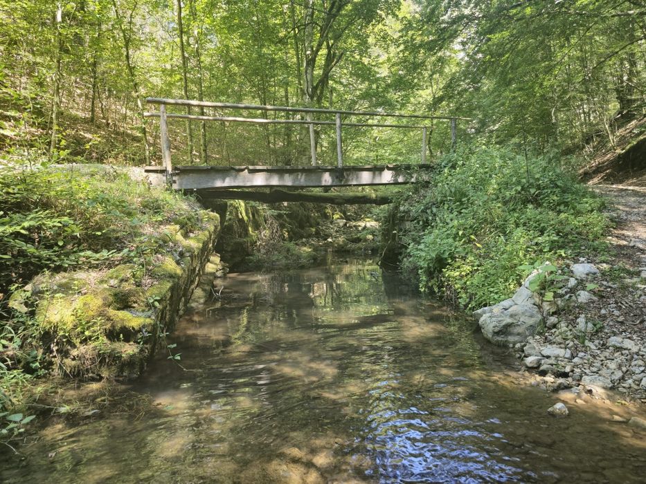 Vind loc pt. 6 cabane 3000 mp teren intravilan Rosia zona  turistica .