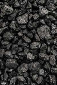 Уголь калиброванный в мешках  Дрова мешках по 1000тг с Доставкой