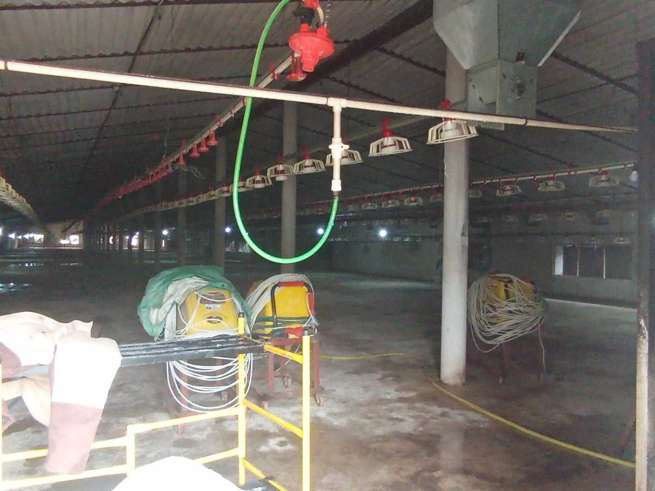Yuqorichirchiq tumanida Parrandachilik fermasi sotiladi
