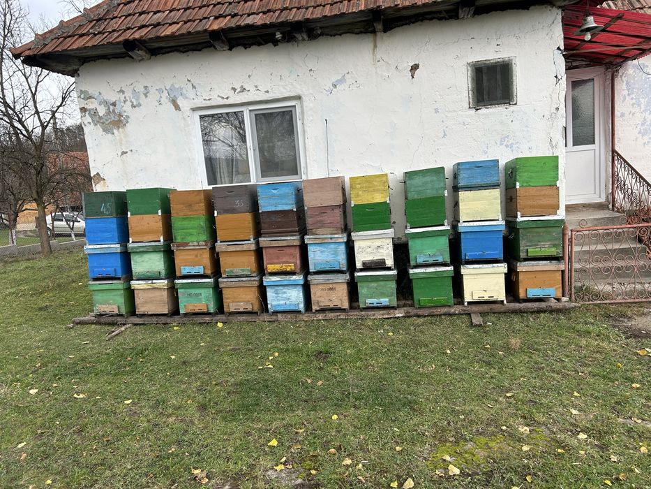 Lazi+magazii 10 rame de vanzare