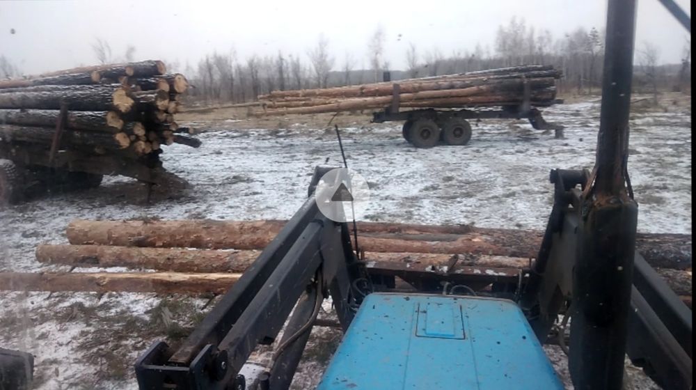 Продам лес деловой, жерди