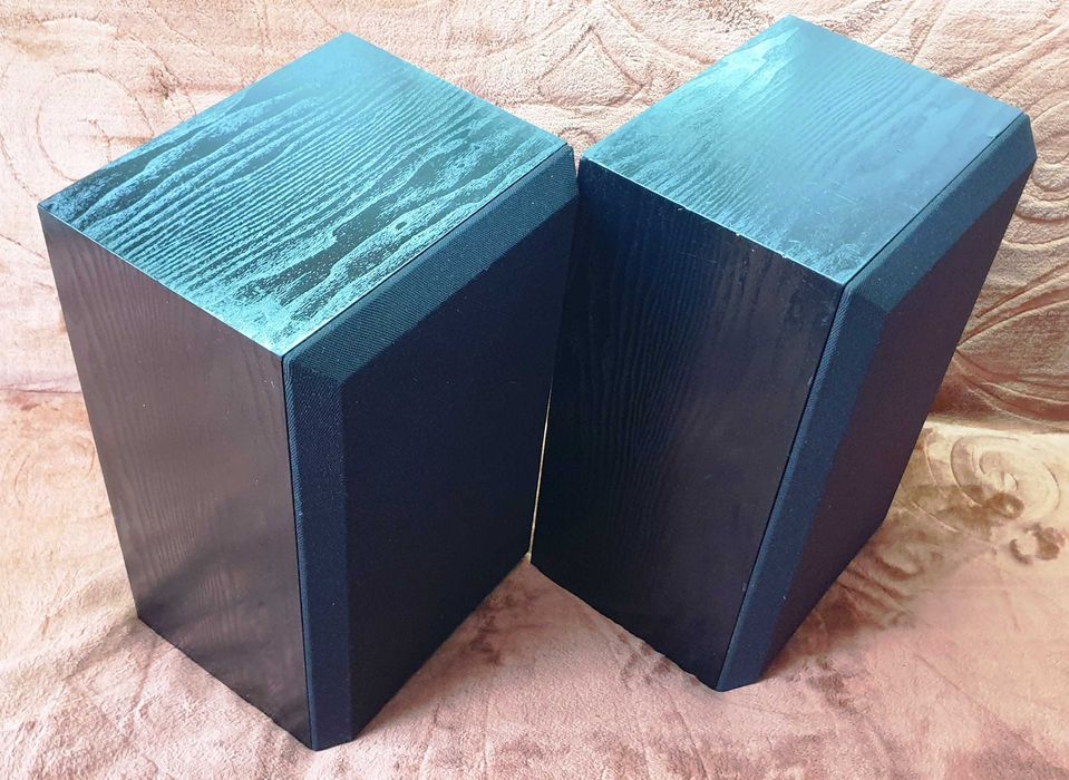 Bose Interaudio 3000XL