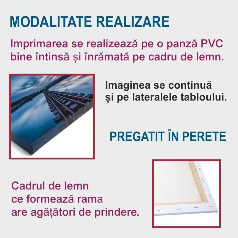Lichidare stoc- 50% -Tablou canvas UNIVERS IN VIITOR (60X40 CM)-65 LEI