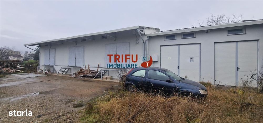 Oportunitate de Achiziție: Spațiu Industrial în Alba Iulia
