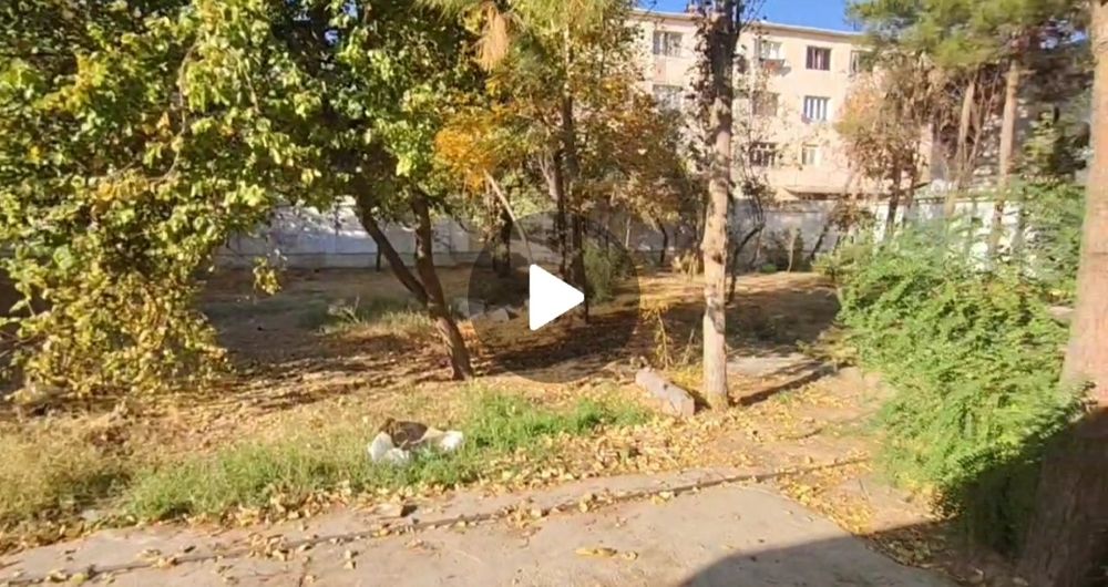 Яккасарайском районе Ракат махалла под бизнес земля продаётся 15соток