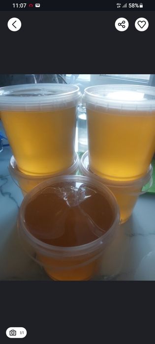 Мёд разнотравье 2025