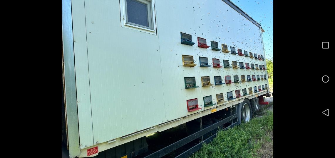 Camion apicol MAN TGA 18.430 cu 90 familii albine complet echipat