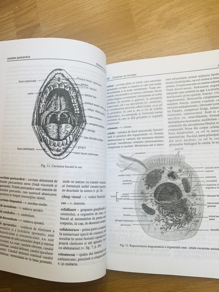 Dictionar nou biologie cu planse si ilustratii