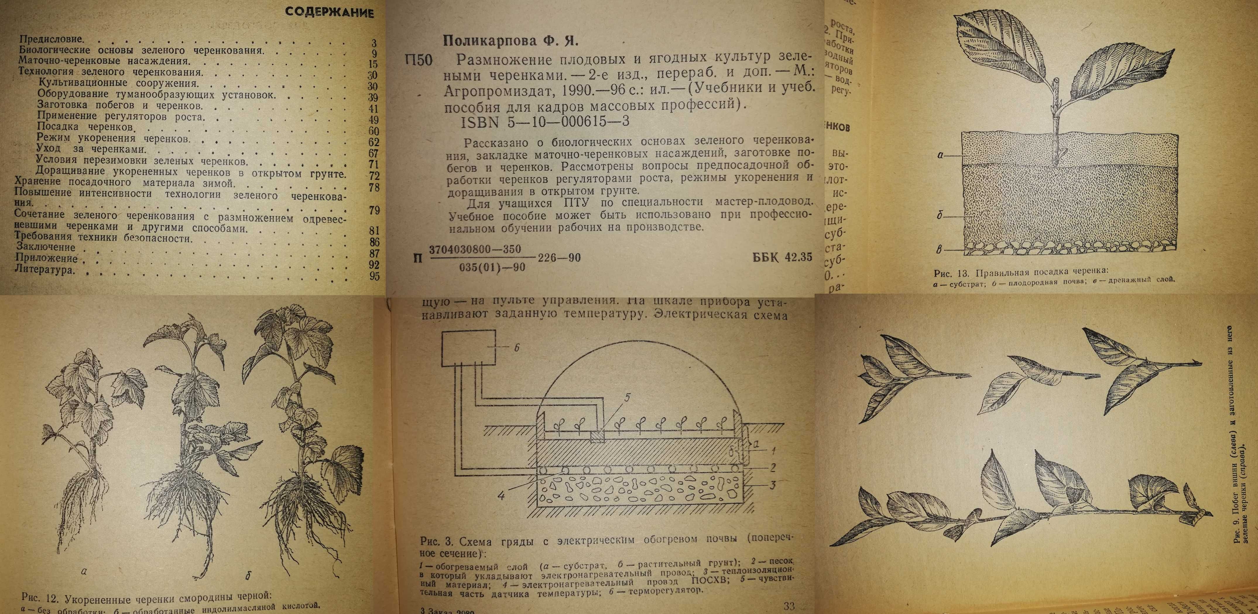 Книги : Грибы, Цветоводство, Ландшафтный дизайн, Садовый участок