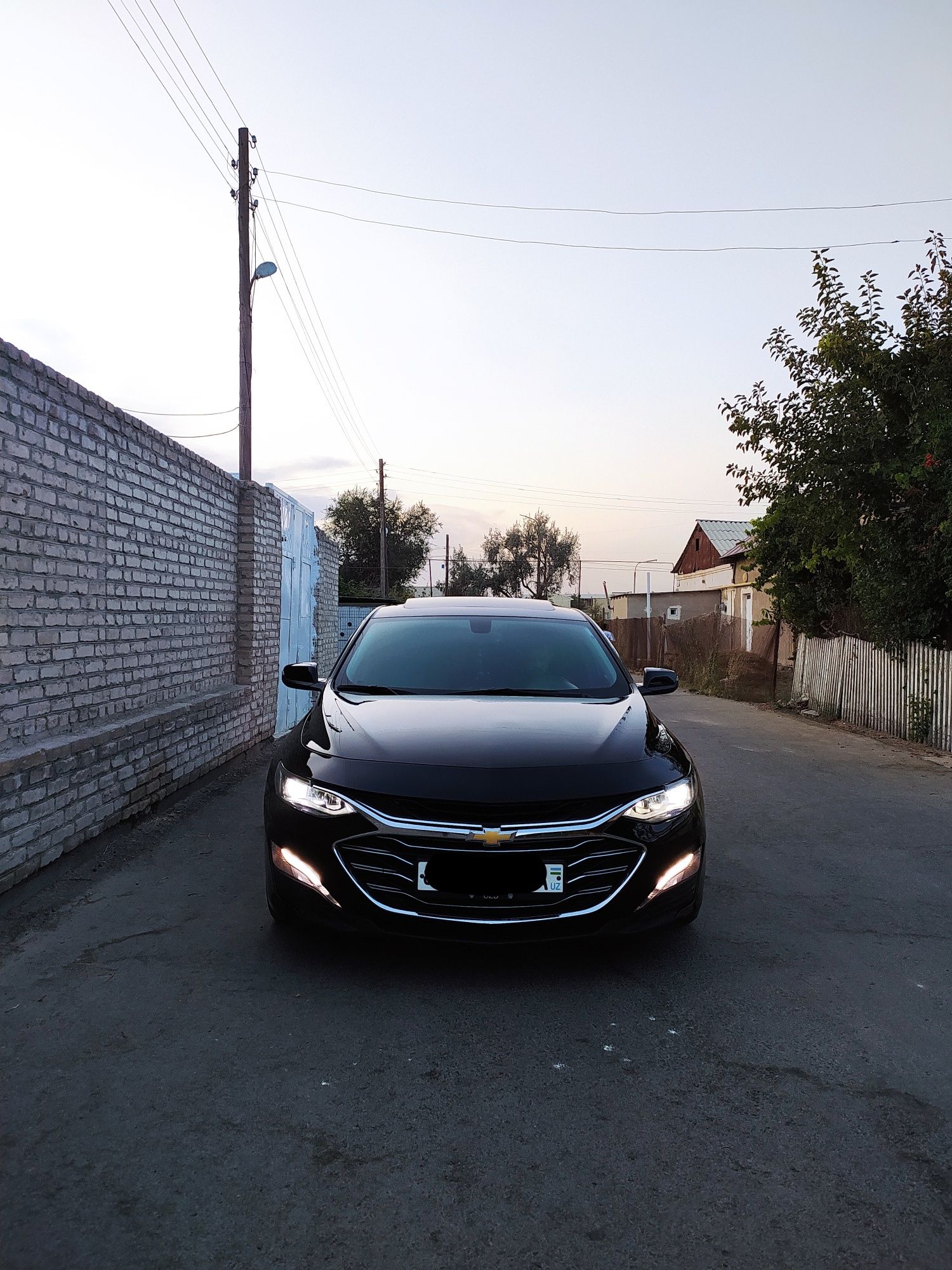 Malibu 2 primier qora xizmati