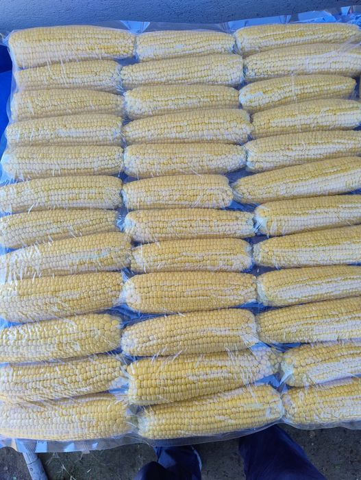 Porumb dulce congelat