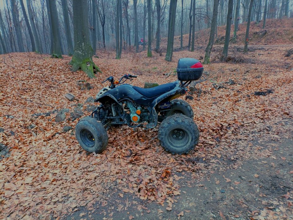Atv bashane 200cc