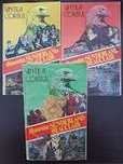 DINASTIA SUNDERLAND BEAUCLAIR - Vintila Corbul (3 volume 1993)