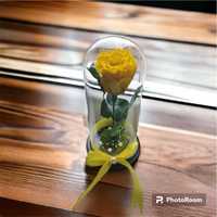 Trandafir criogenat galben in cupola de sticla
