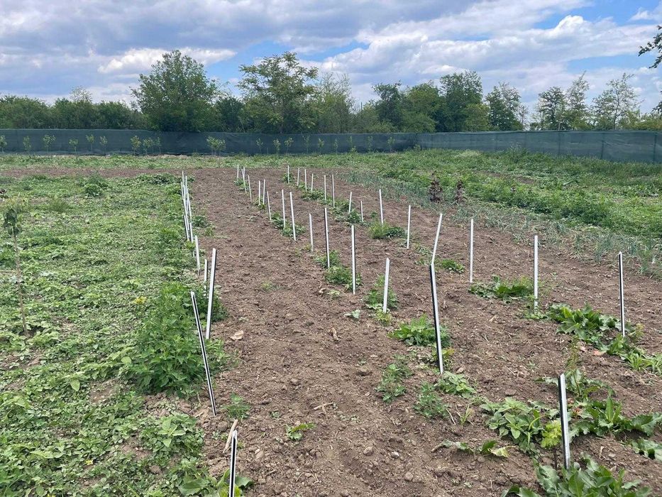 Vânzare casă nouă, 128 mp utili, teren 4.500 mp – Amara, Județul Buzău