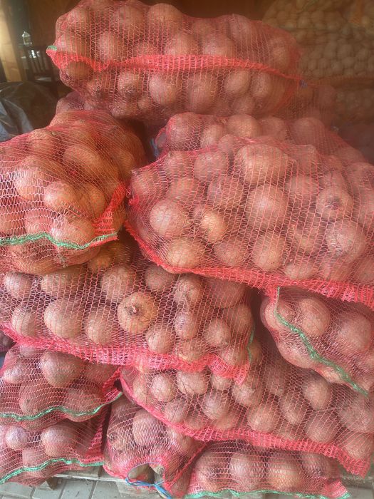 Morcov și sfeclă roșie