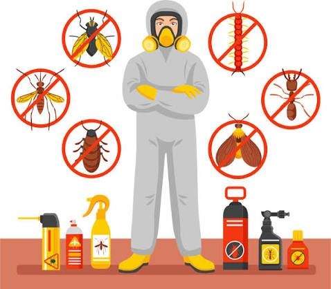 Профессиональное уничтожение тараканов с гарантией результата