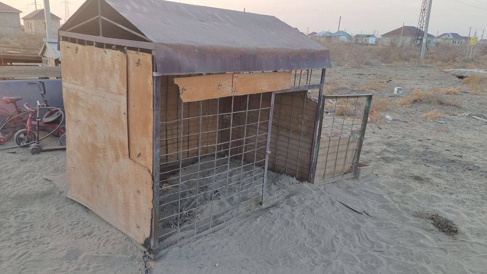 Вольер для собаки