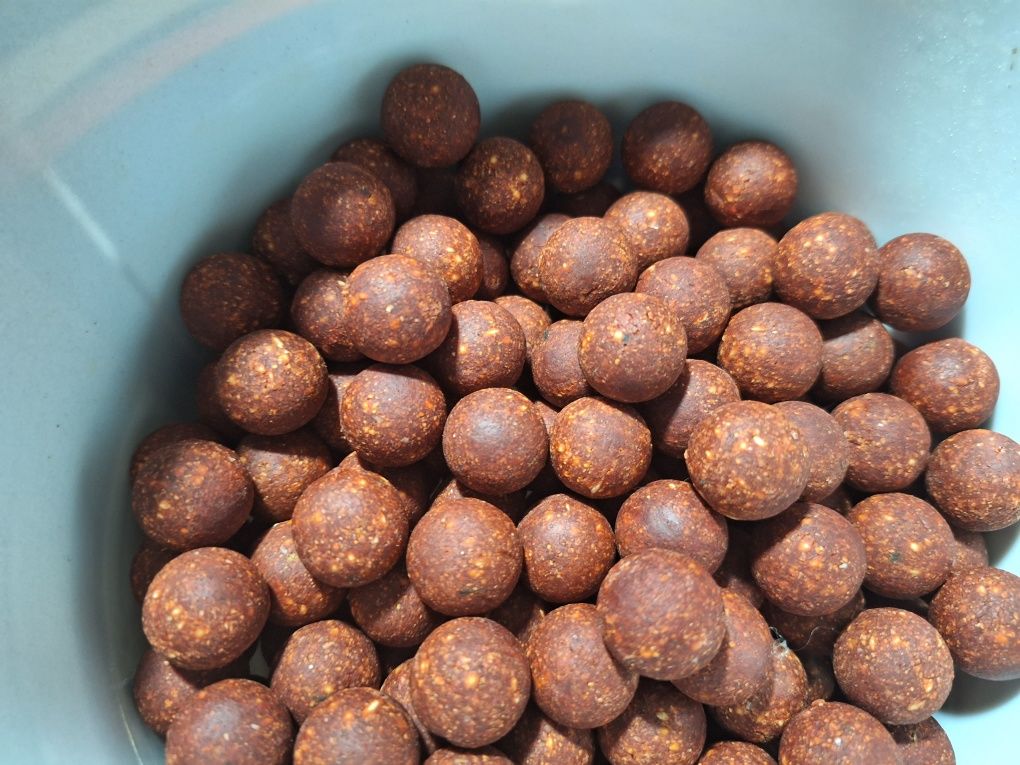 Boilies fishmeal