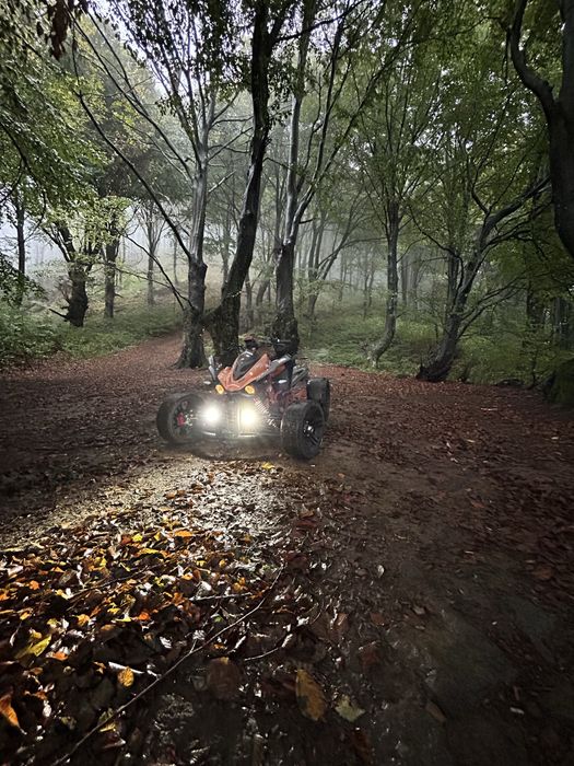 Atv quad 250 ca nou