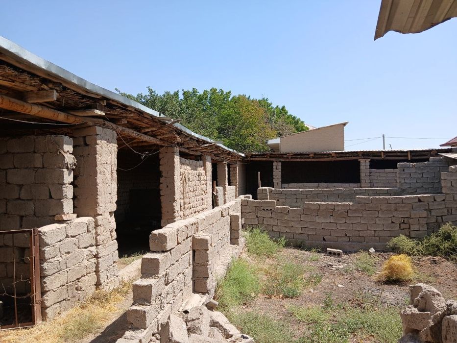4,5 sotih uchastka