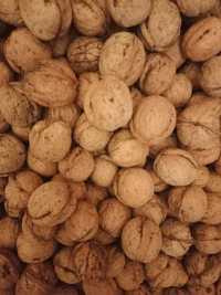 Орехи грецкие сухие чистые свежего урожая и саженцы орехов
