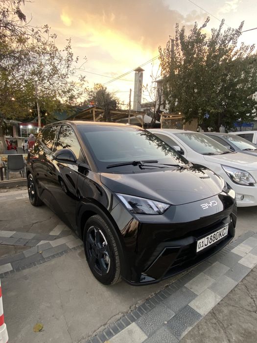 BYD SeaGull 405 tali maaaaaaasla