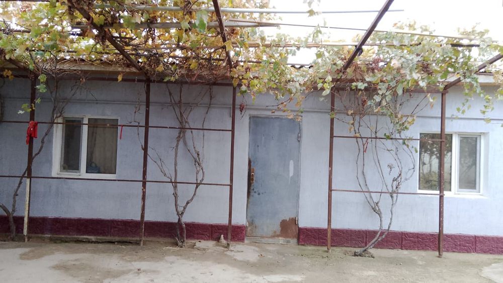 Басқұдық дача 50 мың