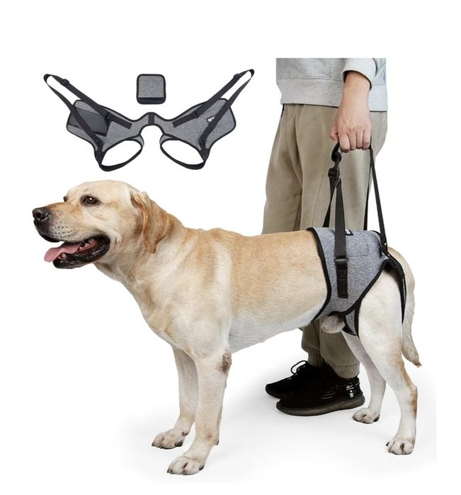 Ham pentru sold la caini