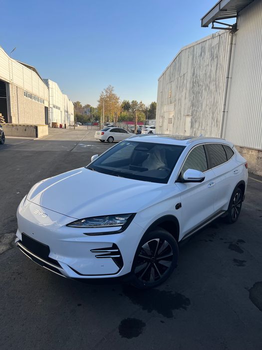 BYD Champion Smart Drive 2025