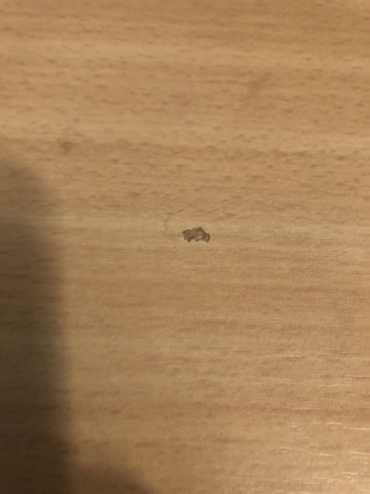 Офис, ученическо бюро