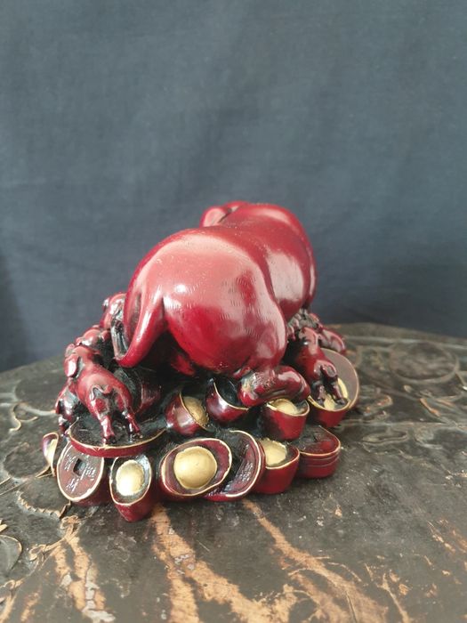 Feng shui Purceluși pt Bani