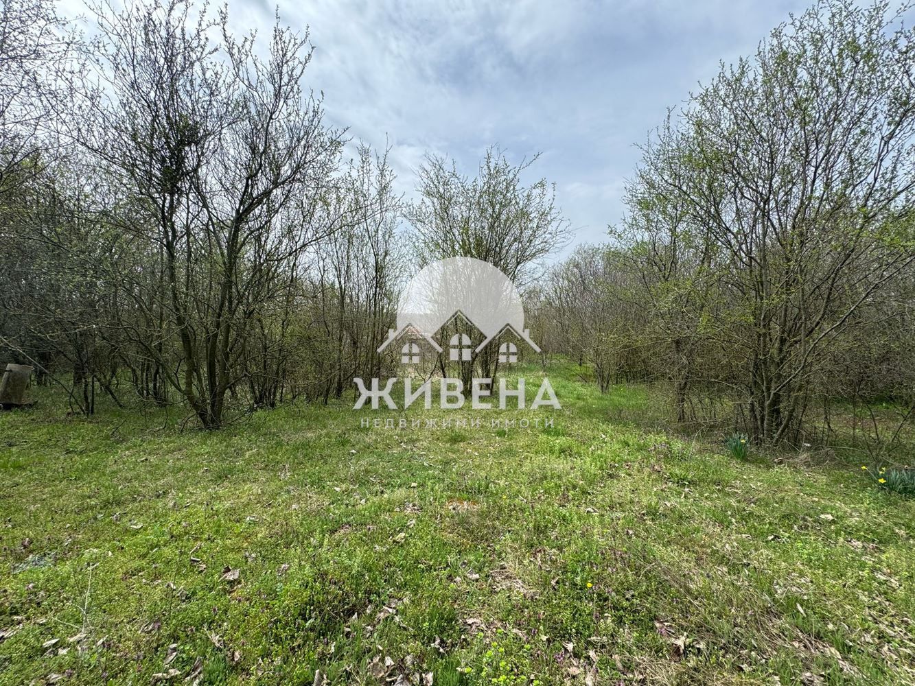Парцел в с. Преселенци, площ 1854 кв.м